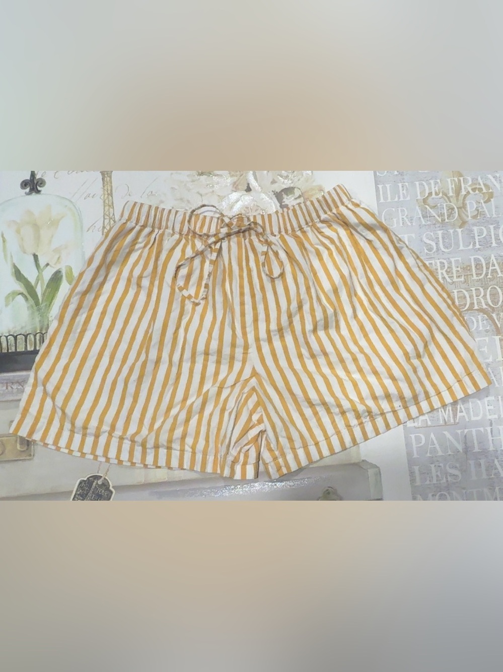 NWOT Faithful The Brand Shorts Size 14